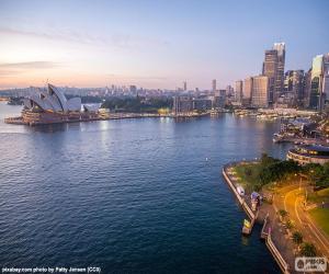 yapboz Sydney Harbour